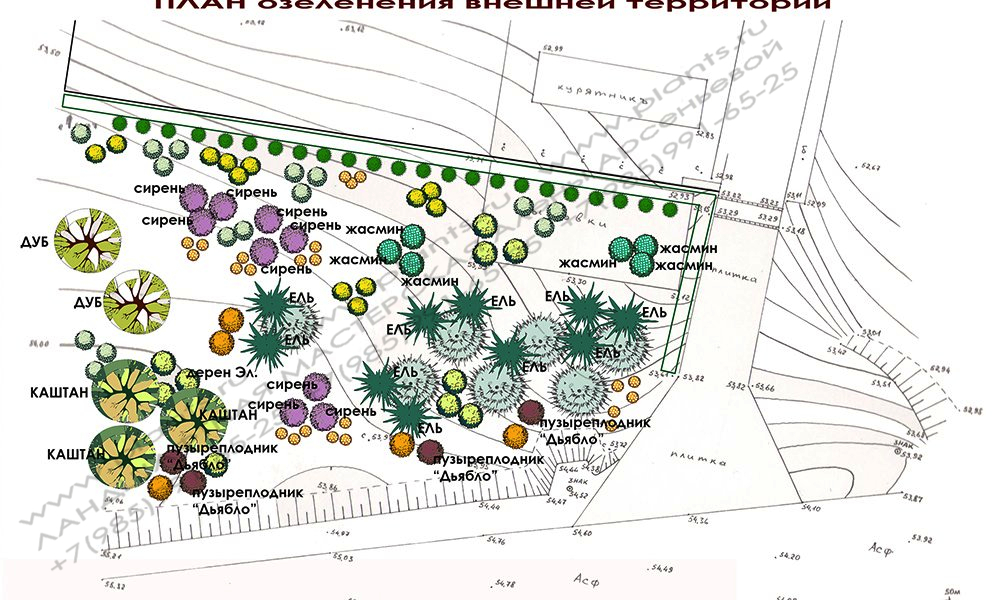 Проект ландшафтного дизайна участка - ПЛАН озеленения внешней территории